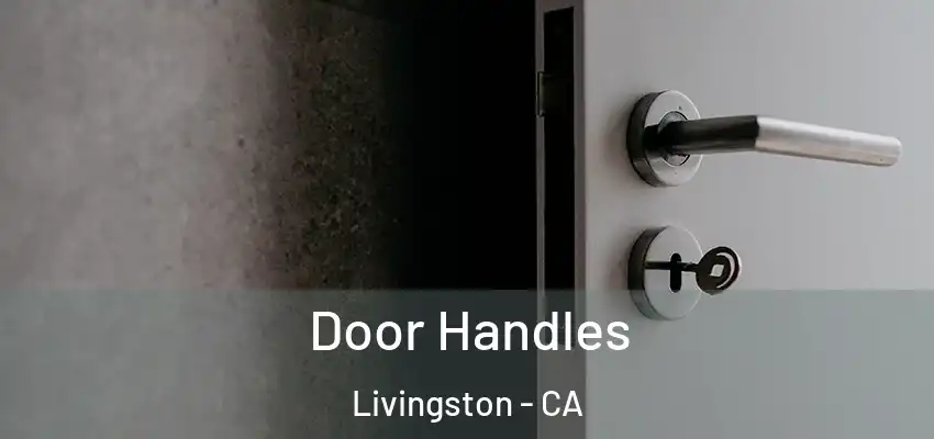 Door Handles Livingston - CA