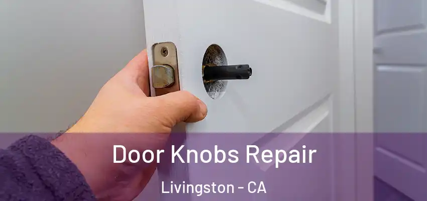 Door Knobs Repair Livingston - CA