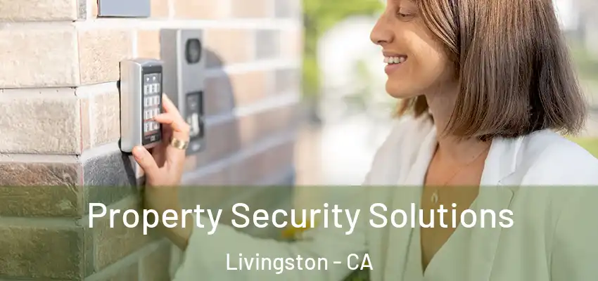 Property Security Solutions Livingston - CA